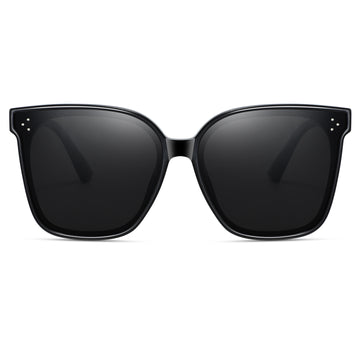 Magnetic Sunglasses 1055